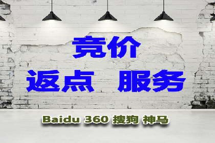 搜索引擎营销（SEM）专员的挑战与机遇
